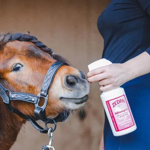 ZEDAN  Glanzspray Mähnenglanz Mähnenspray