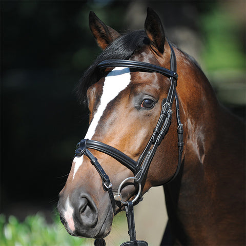 Springtrense "Lorenz" eng.-komb.